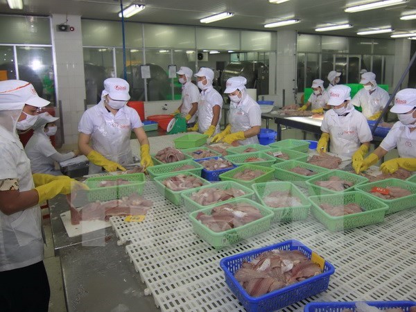 Nuevas normas de EE.UU., retos y oportunidades para pescado vietnamita hinh anh 1