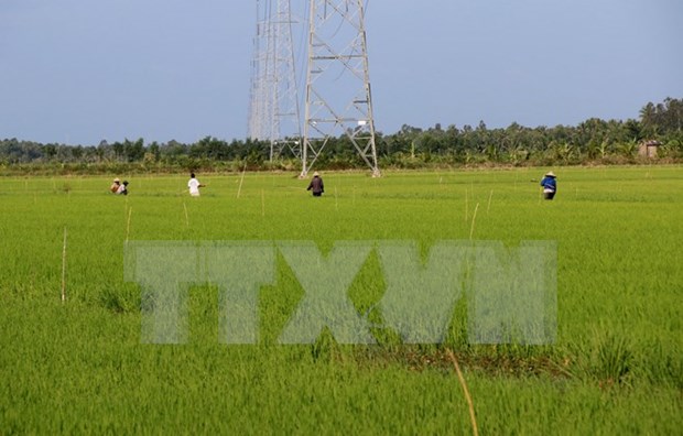 Japon cumplira compromisos de cooperacion agricola con Vietnam, dice ministro hinh anh 1