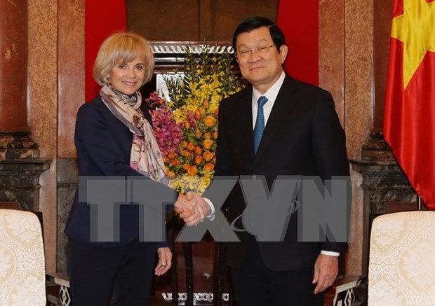 Vietnam aplaude proxima visita del presidente frances al pais hinh anh 1