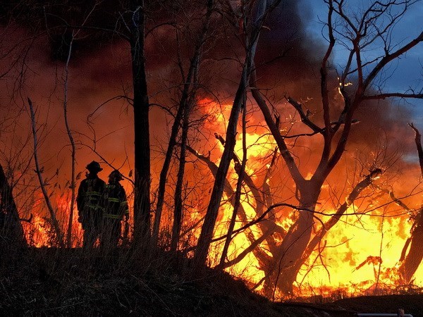 Incendios causan perdidas por mas de 16 mil millones de dolares en Indonesia hinh anh 1