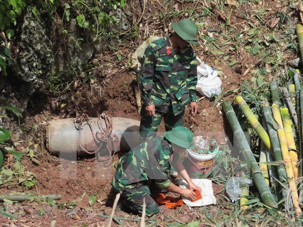 Moviliza Vietnam recursos nacionales y extranjeros a superacion de secuelas de bomba hinh anh 1