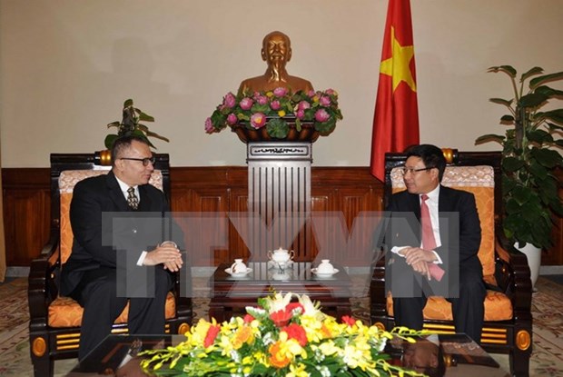 Vietnam atesora lazos con Turquia, dice vicepremier hinh anh 1