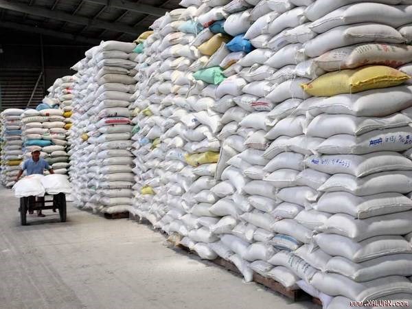Produccion de arroz de Vietnam superara 45 millones de toneladas hinh anh 1