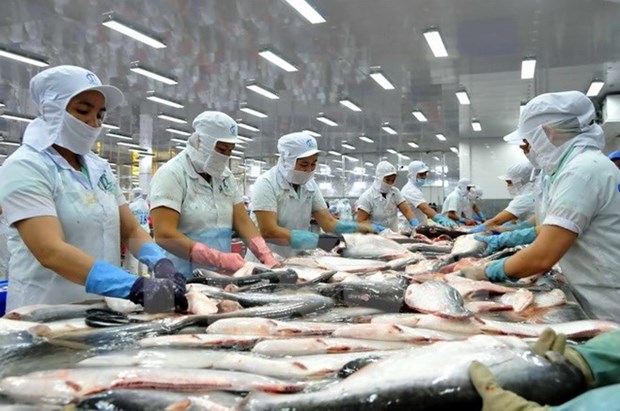 Expertos: Sector del pescado Tra debe buscar nuevos mercados hinh anh 1