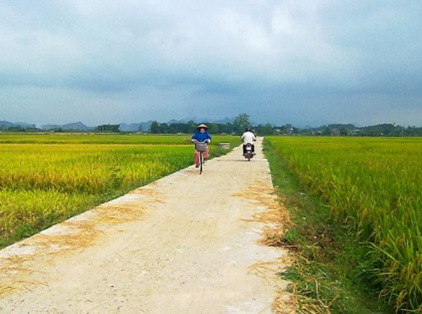 Thua Thien- Hue busca agilizar construccion de nuevas zonas rurales en 2016 hinh anh 1