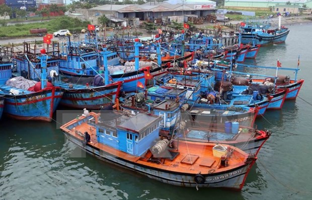 Repudian pescadores vietnamitas ataques de barcos chinos hinh anh 1