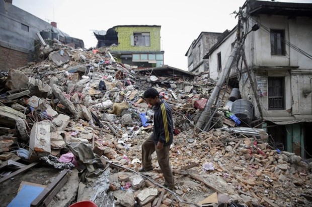 Al menos ocho personas heridas por terremoto en Indonesia hinh anh 1