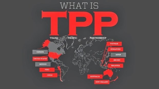 TPP se firmara a inicios de febrero en Nueva Zelanda hinh anh 1