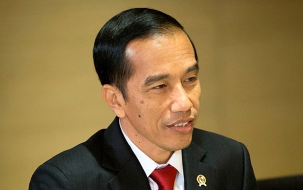 Presidente indonesio visita Timor Leste hinh anh 1
