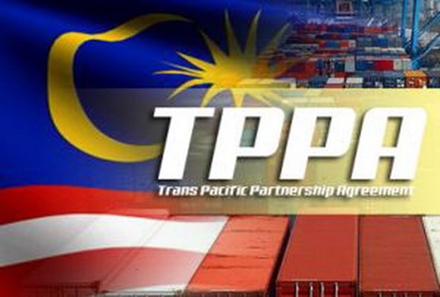 Senado de Malasia aprueba firma del TPP hinh anh 1