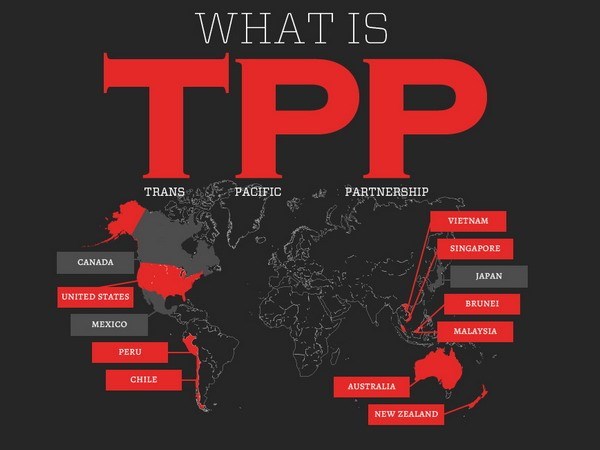 Economia vietnamita se disparara gracias al TPP hinh anh 1