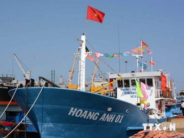 Alientan a pescadores de Quang Ngai a aferrarse al mar hinh anh 1