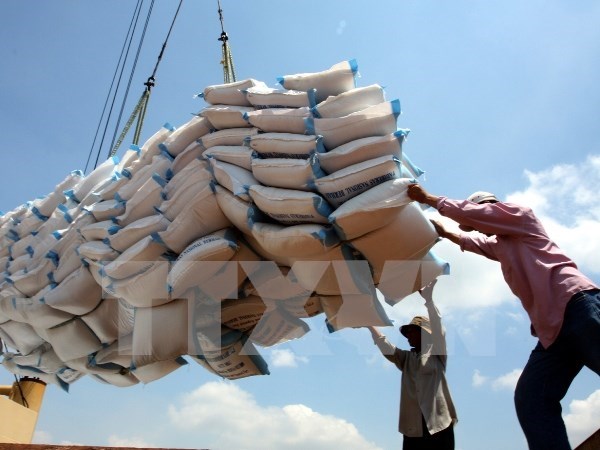 Vietnam crea marca nacional del arroz para elevar su valor de exportacion hinh anh 1