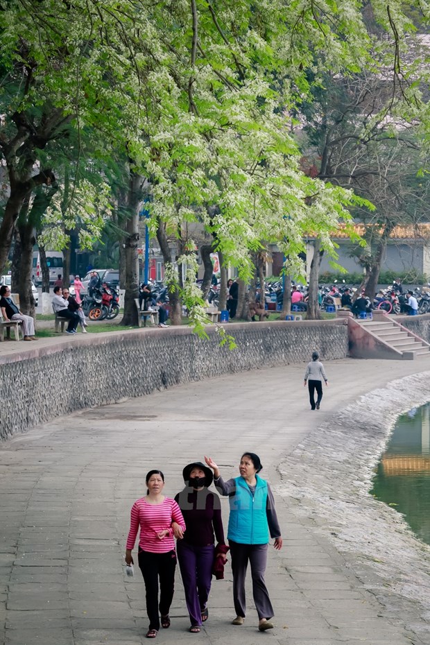 Hanoi romantica en blanco de flor hinh anh 9