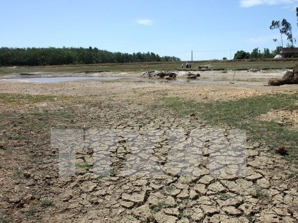 Delta del Mekong enfrenta graves impactos del cambio climatico hinh anh 1