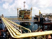 Empresas vietnamitas invierten en explotacion petrolera en Malasia hinh anh 1