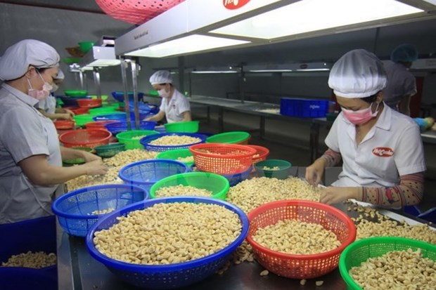 Vietnam logra impresionante crecimiento comercial en 2015 hinh anh 1