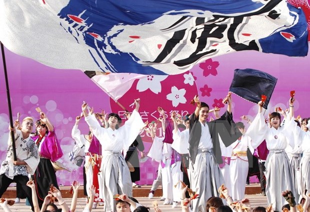 Organizan festival japones Hanami en Da Nang hinh anh 1