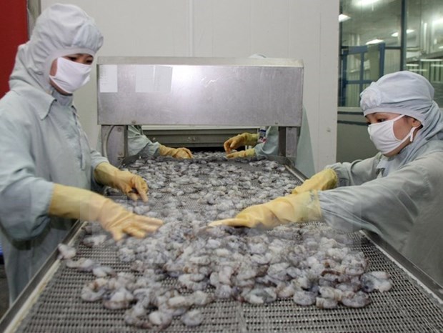 Record de aumento de exportacion de camarones a China hinh anh 1