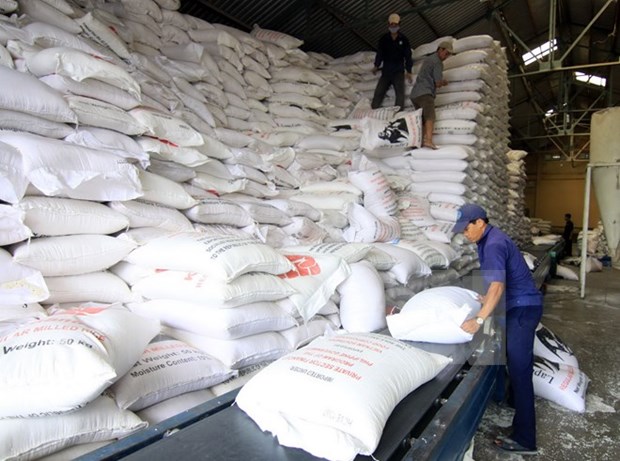 Vietnam exportara 1,6 millones de toneladas de arroz en segundo trimestre hinh anh 1