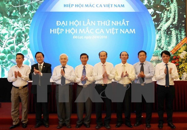 Fundada la Asociacion Vietnamita de Macadamia hinh anh 1