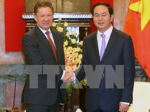 Gobierno respalda la produccion petrolera de Gazprom en Vietnam hinh anh 2