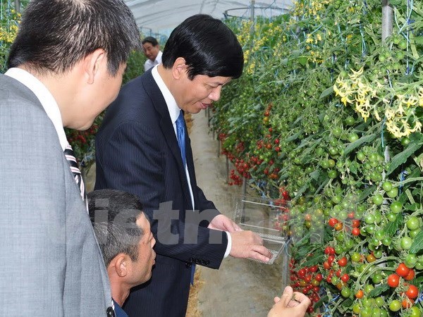 Japon admira y respeta al pueblo de Vietnam, dijo politico japones hinh anh 1
