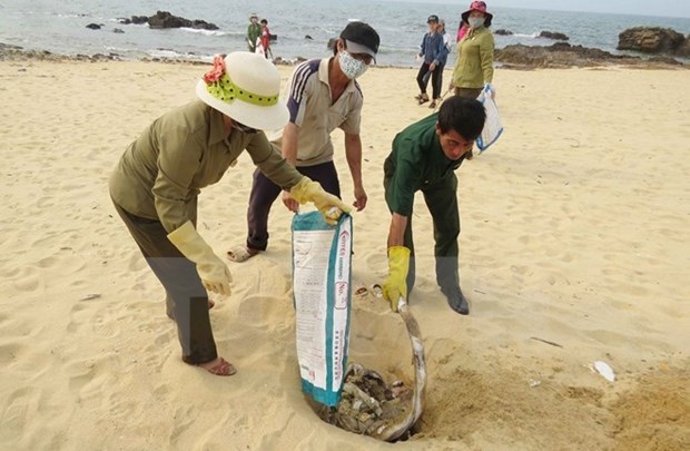 Asisten a pescadores en zona afectada por muerte masiva de peces hinh anh 1