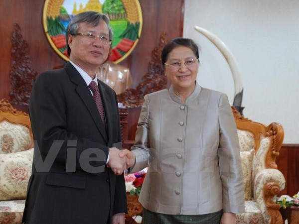 Vietnam y Laos fomentan lazos en labor de inspeccion partidista hinh anh 1