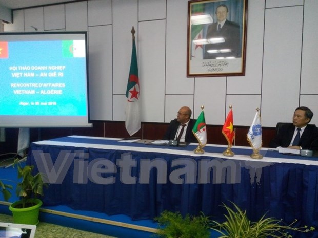 Efectuan foro empresarial Vietnam-Argelia hinh anh 1