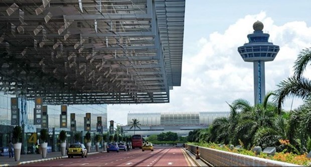 Sector de aviacion de Singapur registrara crecimiento espectacular, segun IATA hinh anh 1