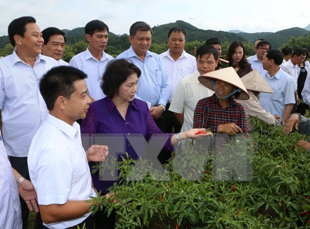 Jefa del Parlamento vietnamita orienta medidas de desarrollo en provincia nortena hinh anh 1