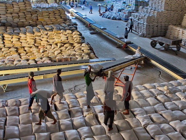 Las exportaciones del arroz de Vietnam merman 18,4 por ciento hinh anh 1