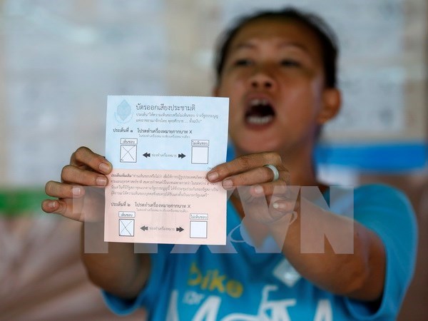 El 61,35 por ciento de electores tailandeses respalda nueva Constitucion hinh anh 1