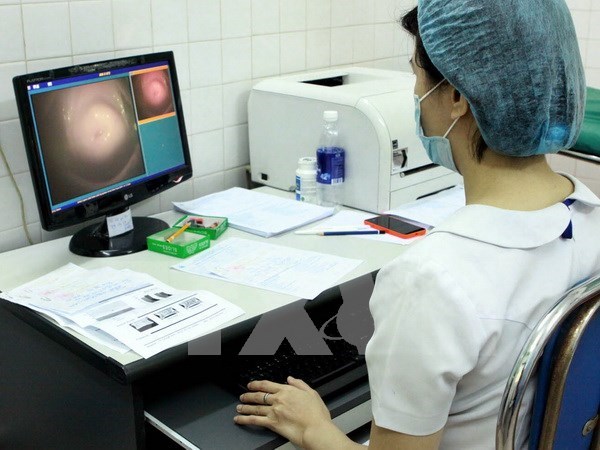 Siete mujeres mueren diariamente por cancer cervical en Vietnam hinh anh 1