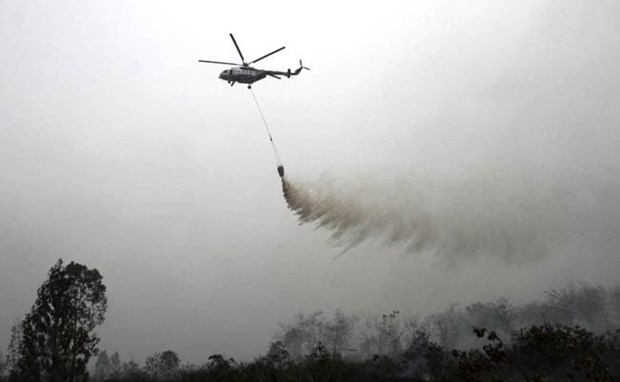 Aumentan incendios forestales en Indonesia hinh anh 1