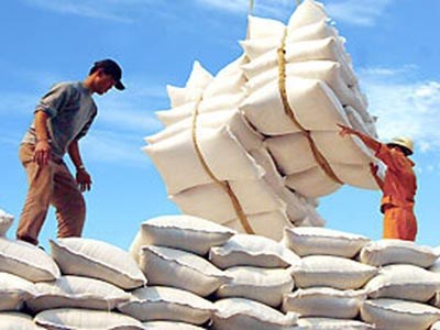 Vietnam busca aumentar exportaciones de arroz de alta calidad hinh anh 1