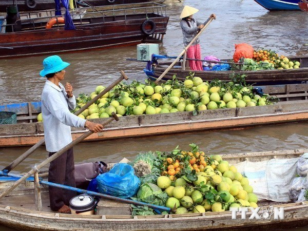 Vietnam aboga por optimizar recursos para el desarrollo del delta de Mekong hinh anh 1