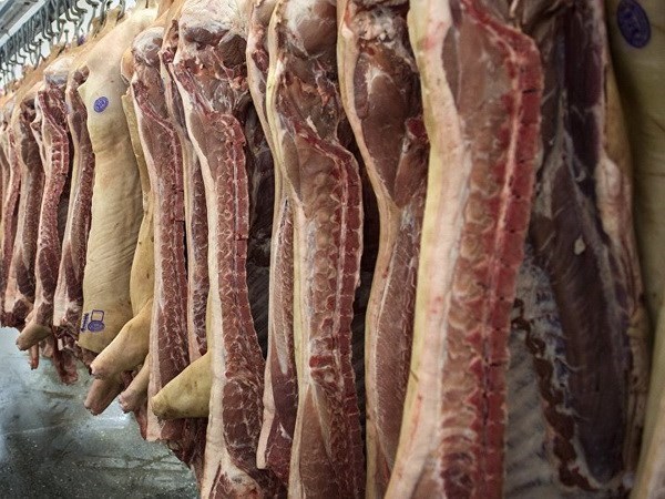 Empresa rusa exportara carne porcina a Vietnam hinh anh 1