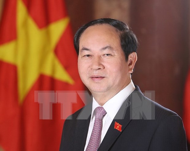 Presidente de Vietnam convoca a mantener la unidad nacional hinh anh 1