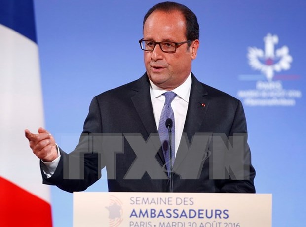 Visita de Francois Hollande promovera la asociacion estrategica Francia- Vietnam hinh anh 1