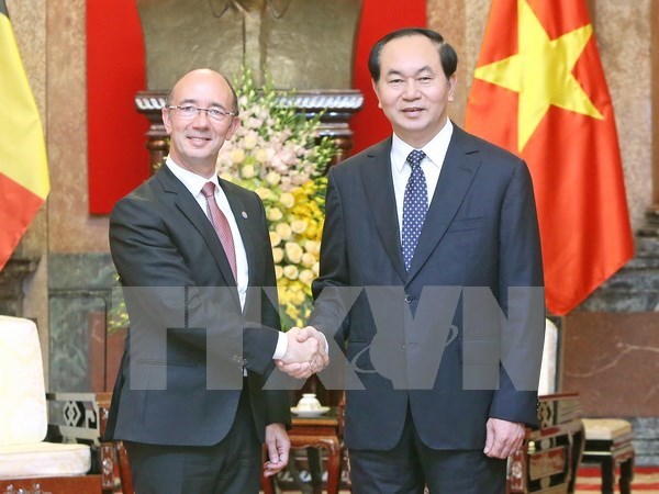 Vietnam prioriza cooperacion con Comunidad Francesa de Belgica hinh anh 1