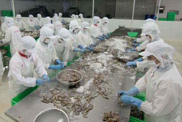 Vietnam registra aumento en exportaciones acuicolas hinh anh 1