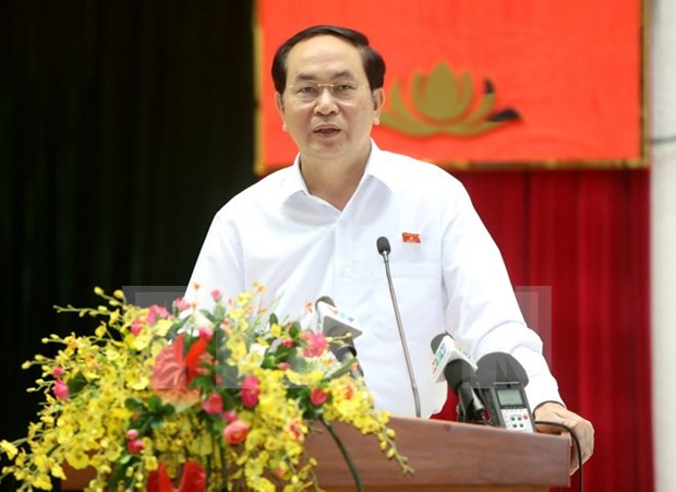 Presidente de Vietnam sostiene contactos con votantes en Ciudad Ho Chi Minh hinh anh 1