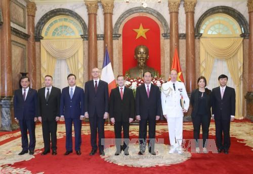 Presidente de Vietnam recibe a nuevos embajadores hinh anh 1