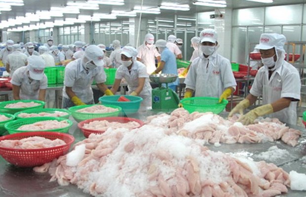 Exportadores de pescados de Vietnam enfrentan dificultades en lograr meta anual hinh anh 1
