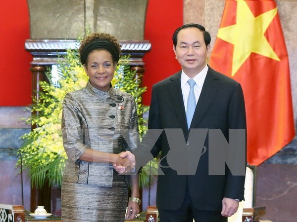Vietnam sugiere impulsar cooperacion con paises francofonos hinh anh 1