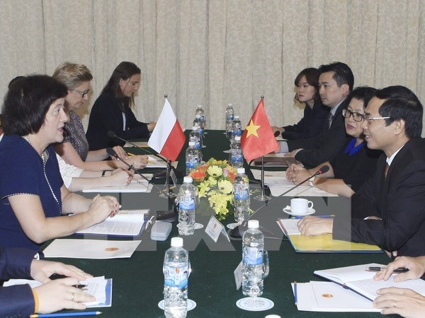 Vietnam y Polonia realizan consulta politica hinh anh 1