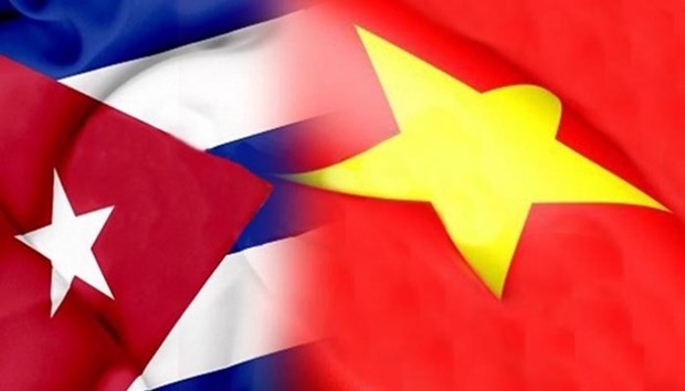 Jovenes vietnamitas y cubanos profundizan vinculos bilaterales hinh anh 1