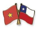 Vietnam y Chile efectuan consulta politica hinh anh 1